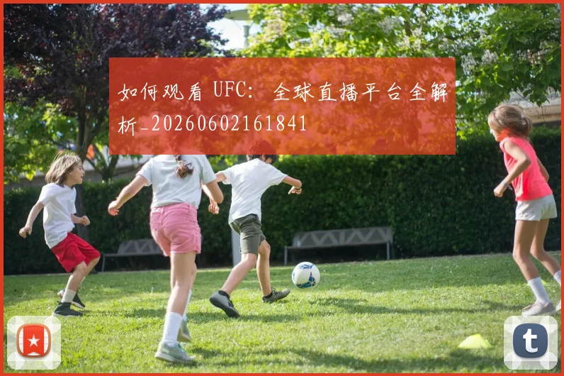 如何观看 UFC:全球直播平台全解析_20260602161841