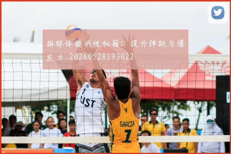 排球体能训练秘籍：提升弹跳与爆发力_20260528193022